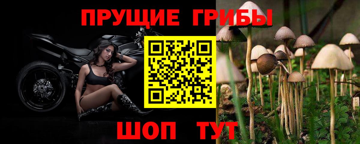 Псилоцибиновые грибы Magic Shrooms Красногорск